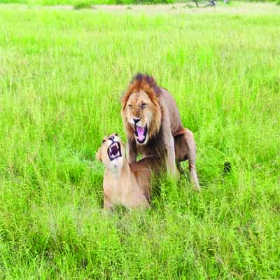 Arusha National Park